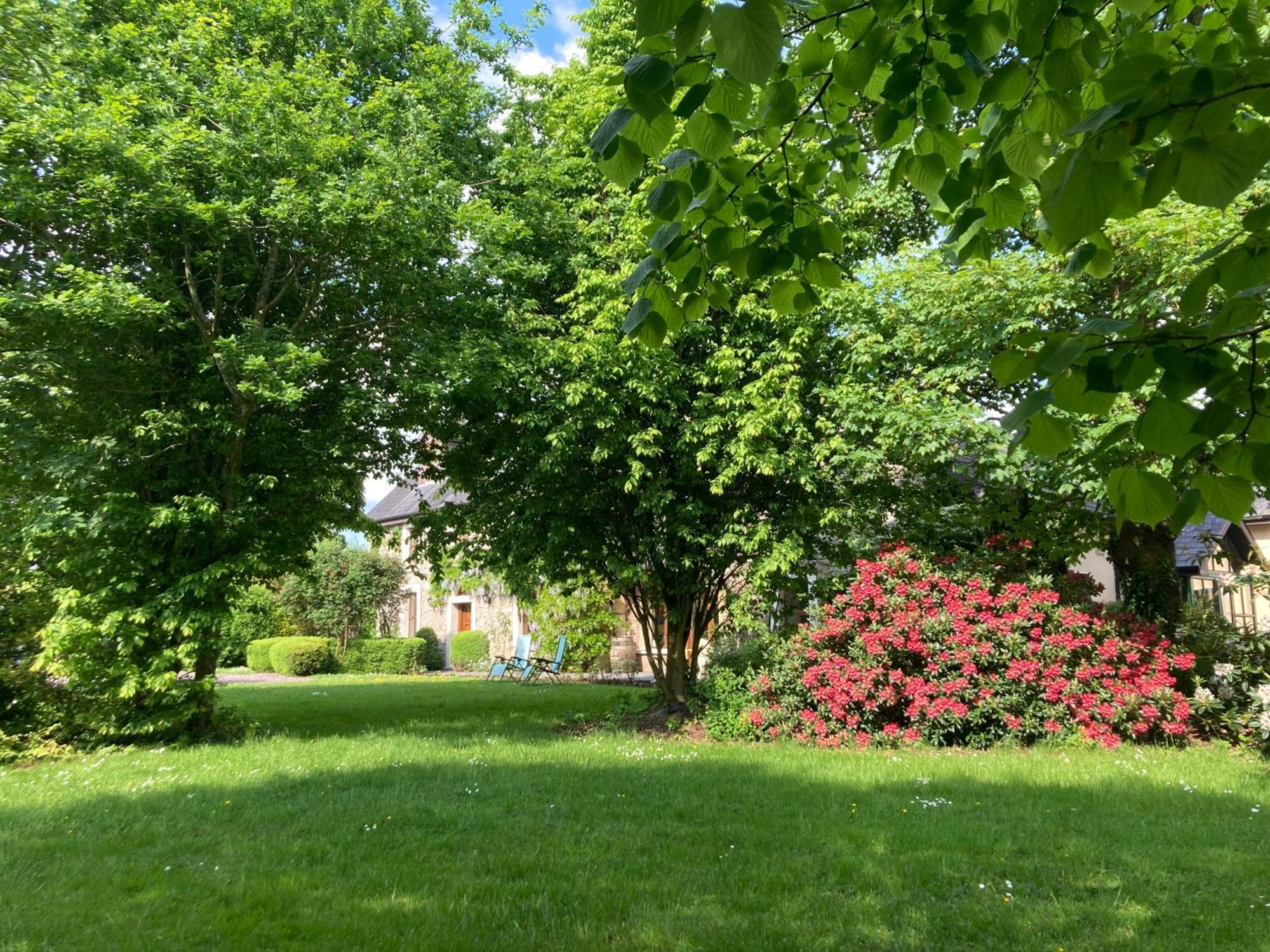Grove House Country Rooms Shanballymore Kültér fotó