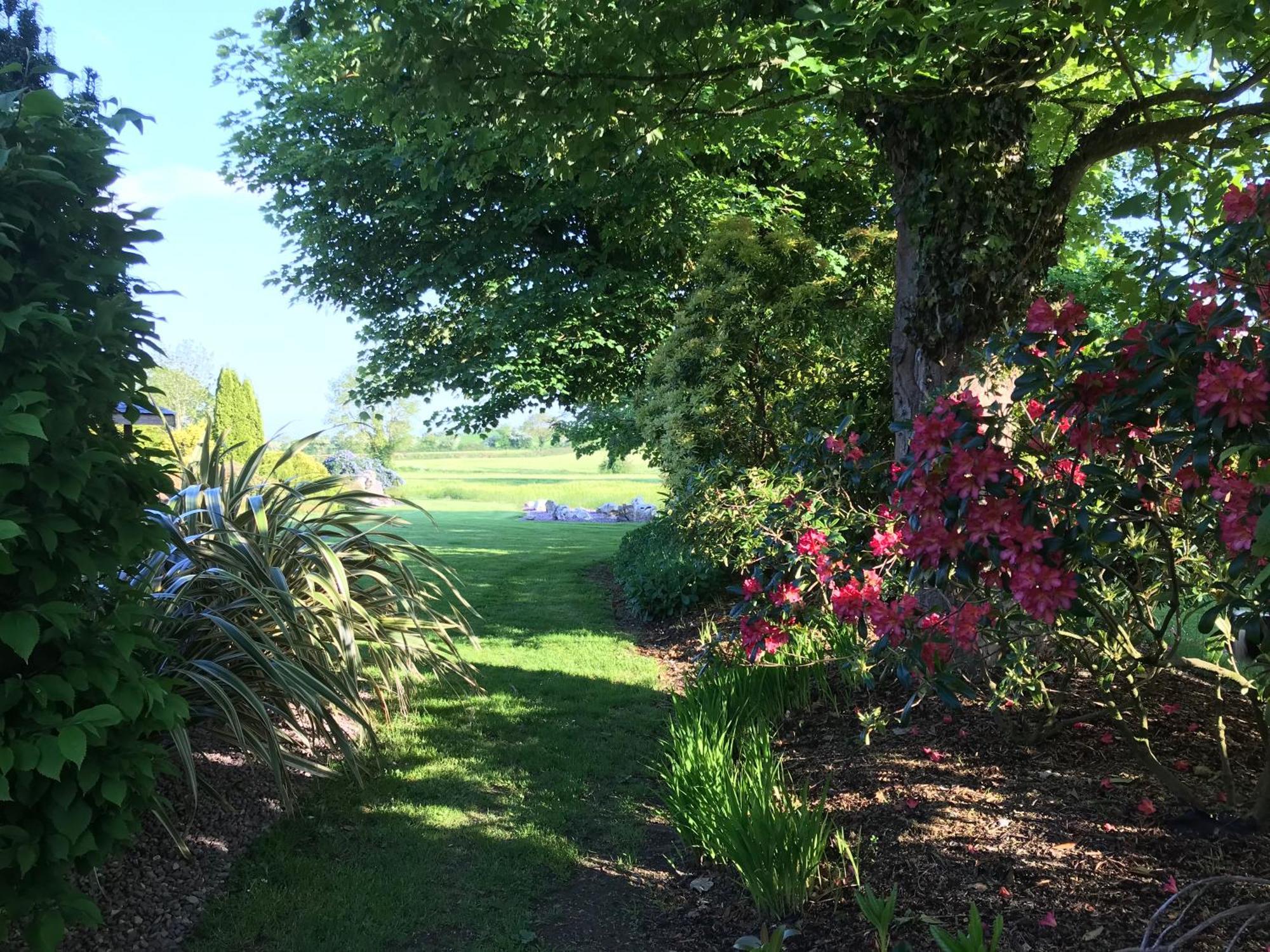 Grove House Country Rooms Shanballymore Kültér fotó